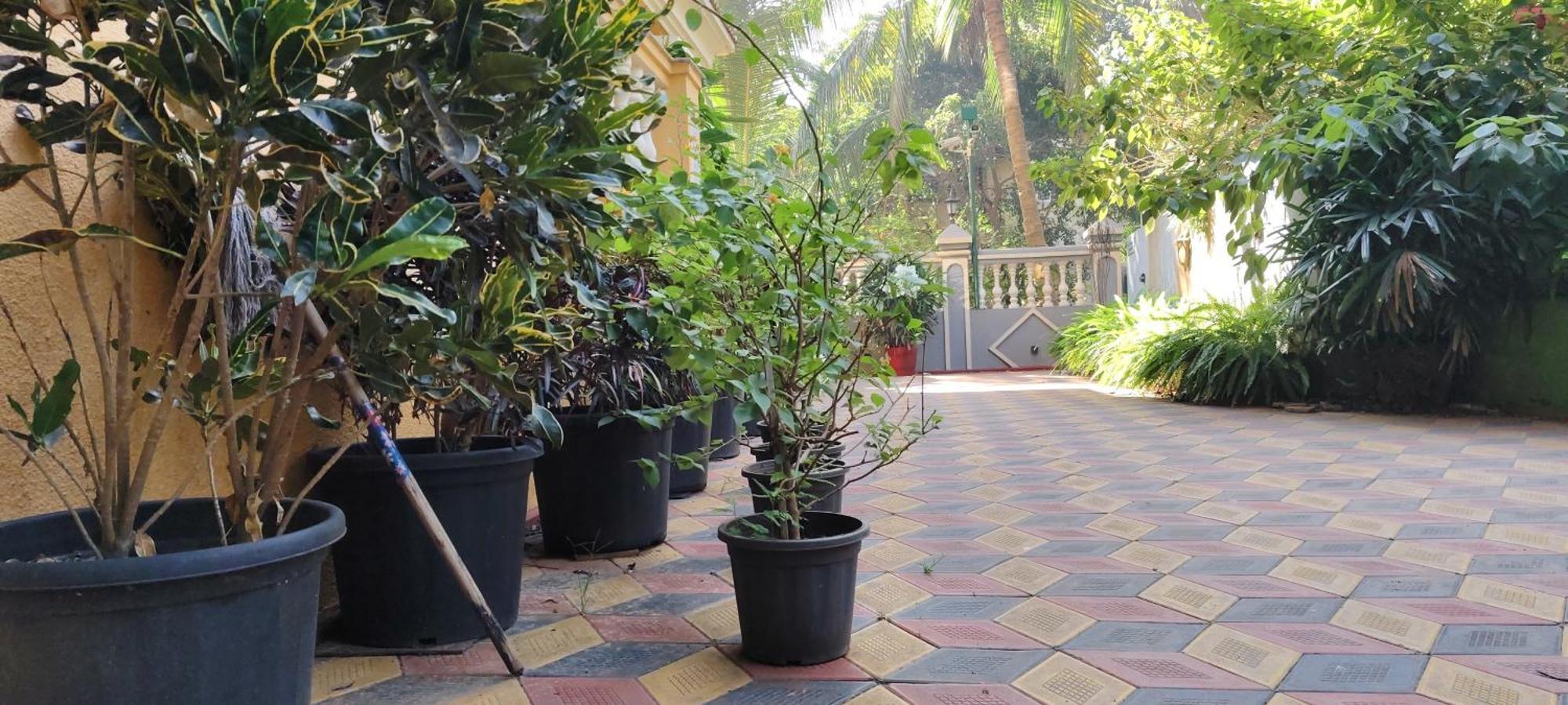 Ena Holiday Inn Calangute Ngoại thất bức ảnh